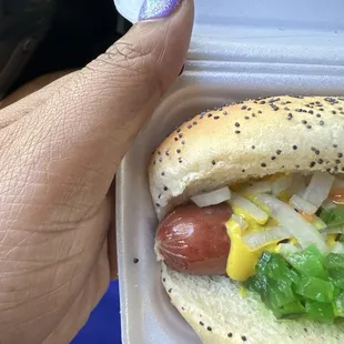 hot dog, food, hot dogs, sandwich