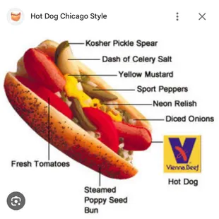 Actually Chicago Style Hot Dog