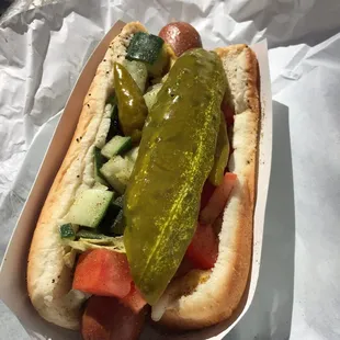 Chicago dog