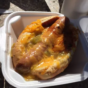 A Christmas dog: half green chili, half red.