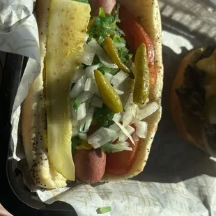 Chicago Style Dog