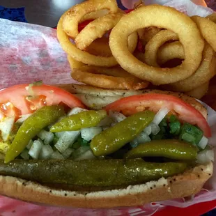 Chicago dog with onion rings