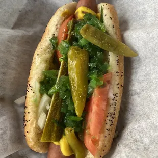 Chicago Style Hot Dog