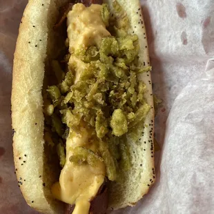 Beer Bier Cheese Dog