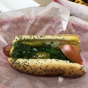 Chicago dog