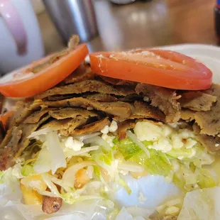 Load Gyro Fries-not pic is a extra cup Taziki sauce Also i forgot to take a pic before i started eating. The whole plate was full.