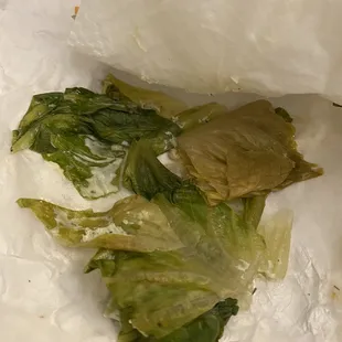 Brown funky slimy lettuce = sad face