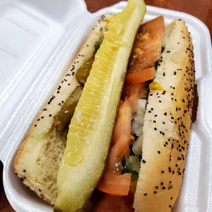 Chicago Hot Dog