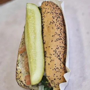 Chicago style hot dog