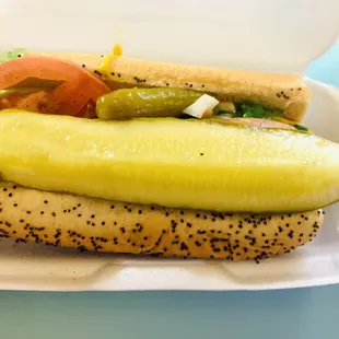 Chicago Dog