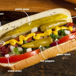 the ingredients of a hot dog