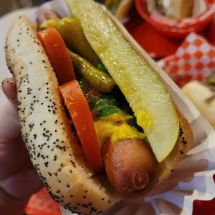 Chicago dog