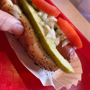 hot dog, sandwich, hot dogs, food