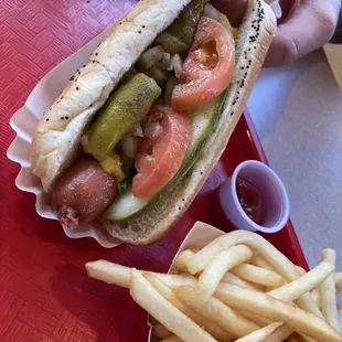 Chicago dog