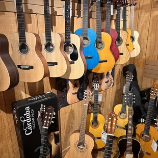 Acoustic guitars