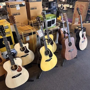 Acoustic guitars