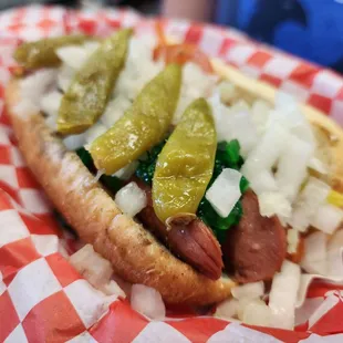 Chicago dog