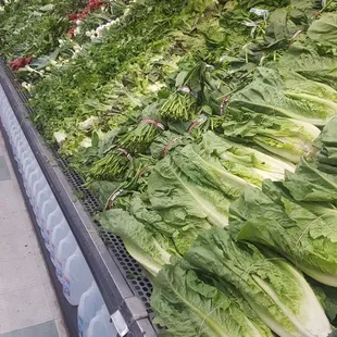 Wide variety of fresh greens