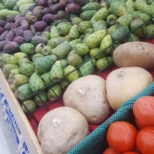 Jicama and cactus pears.