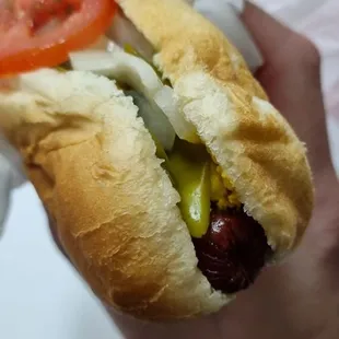 a hand holding a hot dog