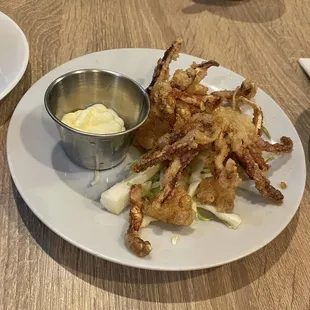 Japanese Calamari