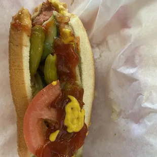 Chicago Dog