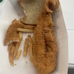 Catfish Fries