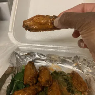 a hand holding a piece of chicken