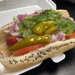 Chicago dog