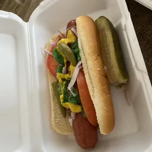 Chicago Dog