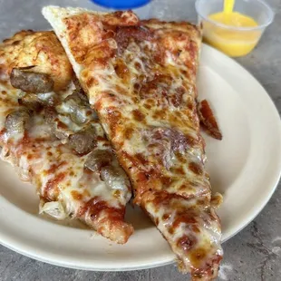 two slices of pizza on a plate