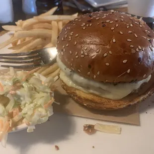 Burger - my 10 year old only wanted provolone cheese and Mayo