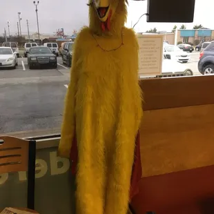This is the chicken for CHICK A BOOM