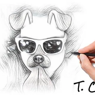 T C.