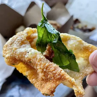 Crispy chip-like chicken skin