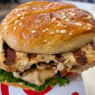 ows a chicken sandwich on a bun