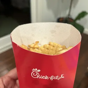 Pic of my large fries.  Go to McDonald's next door for fries.