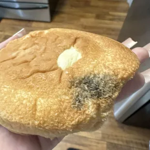 Moldy bread