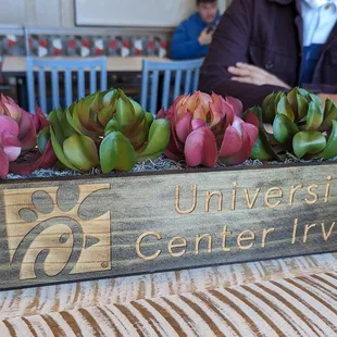 ows a wooden box with flowers in it