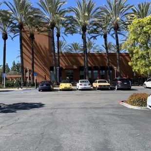 ows a parking lot with palm trees