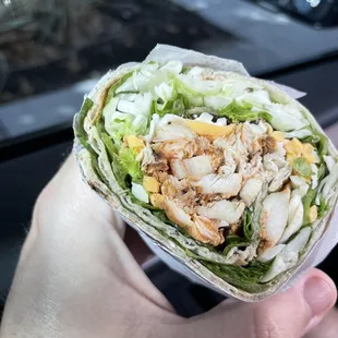 Spicy Chicken Wrap was good!