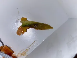 In-N-Out Burger