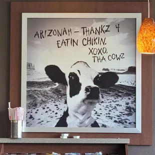 ows a cow in a restaurant