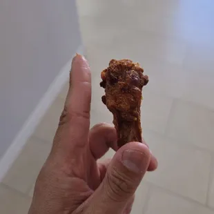 Wings are puny. Index finger for reference.