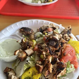 ows a plate of chicken salad