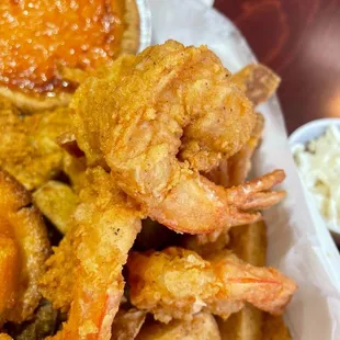 Shrimp