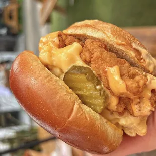 hot dogs, hot dog, food, sandwich