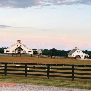 The Reception and Pony Barns