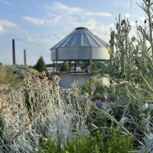Silo bar