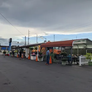 Chicken and Taco Loco